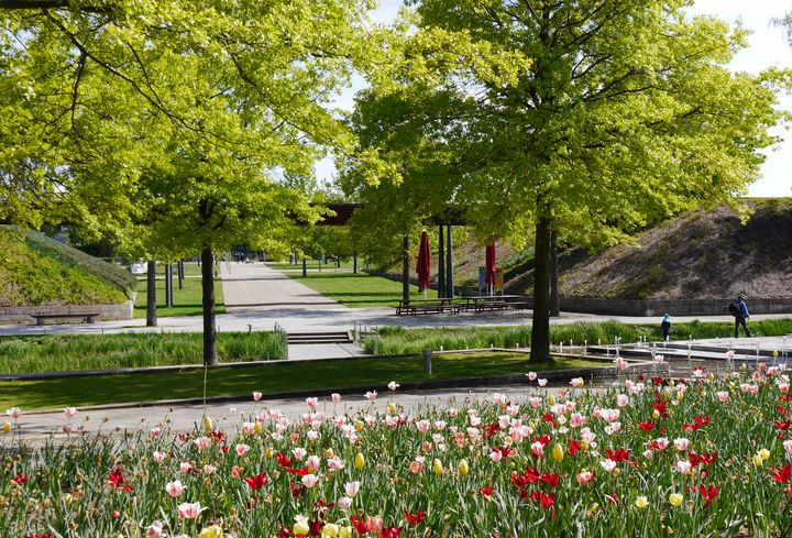 Bäume, Blumen und Wege im Volkspark Potsdam